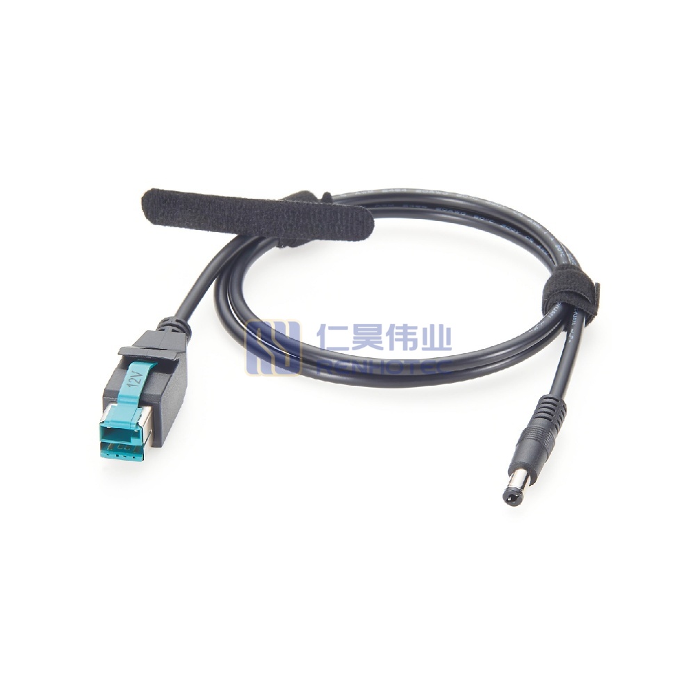 Powered USB 12V to DC 5.5*2.1mm Cable - RHT-605-20925